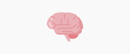 Brain icon